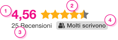 Esmpio del nuovo sistema di punteggio di Escort Advisor